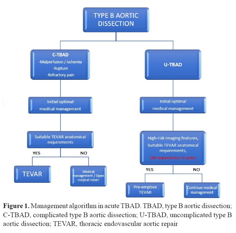 Treatment And Prophylaxis Strategies For Deep Vein Thrombosis During ...